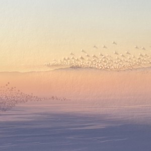 1 - COVER 1.jpg