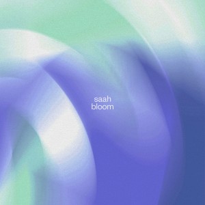 saah-bloom.jpg