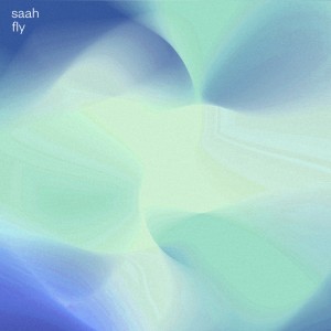 saah-fly.jpg